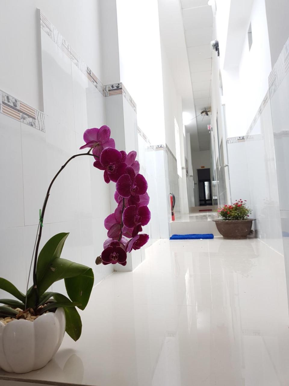 Song Ngoc Guesthouse Phu Quoc Exterior foto